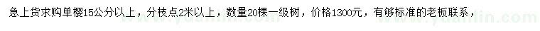 求購15公分以上單櫻