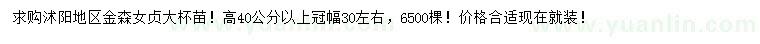 求購(gòu)高40公分以上金森女貞