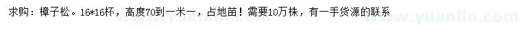 求購高70-1.1米樟子松
