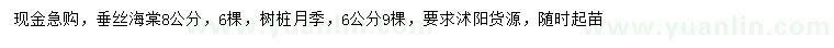 求購8公分垂絲海棠、6公分樹樁月季