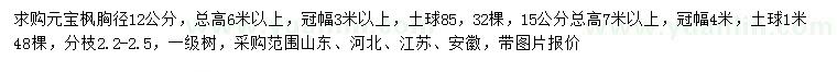 求購(gòu)12、15公分元寶楓