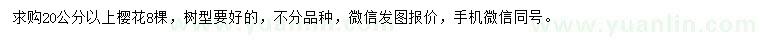 求購20公分以上櫻花