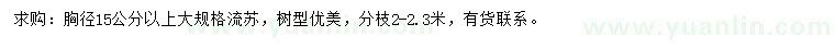 求購胸徑15公分以上流蘇