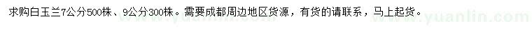 求購7、9公分白玉蘭