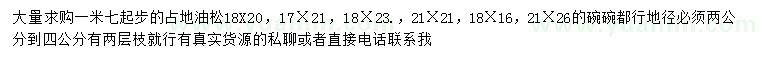 求購1.7米起步占地油松