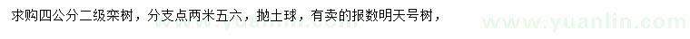 求購4公分欒樹