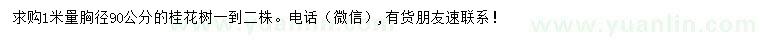 求購1米量胸徑90公分桂花