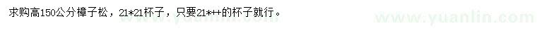 求購高150公分樟子松