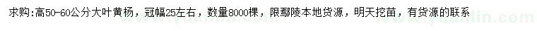 求購高50-60公分大葉黃楊