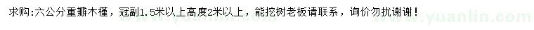 求購(gòu)6公分重瓣木槿