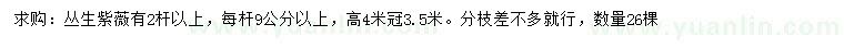 求購高4米叢生紫薇