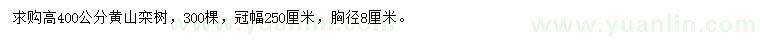 求購高400公分黃山欒樹