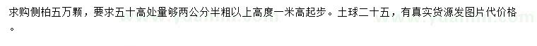 求購(gòu)高50量2.5公分以上側(cè)柏
