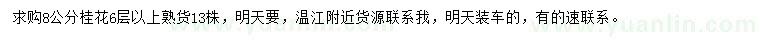 求購8公分桂花