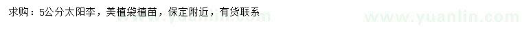 求購5公分太陽李