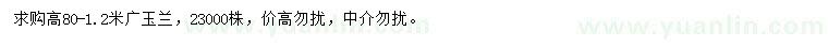 求購(gòu)高80-1.2米廣玉蘭