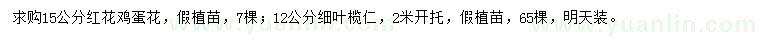 求購15公分紅花雞蛋花、12公分細(xì)葉欖仁