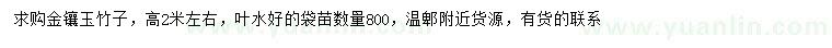 求購高2米左右金鑲玉竹子