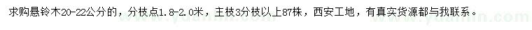 求購20-22公分懸鈴木