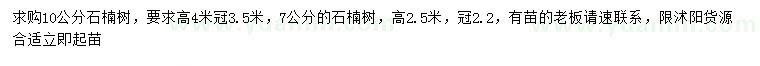 求購7、10公分石楠