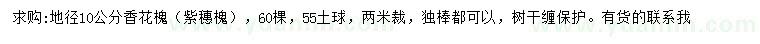 求購地徑10公分香花槐（紫穗槐）