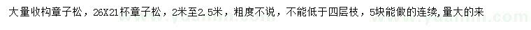 求購2-2.5米樟子松