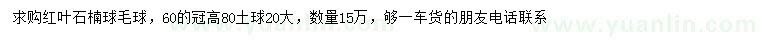求購冠幅60公分紅葉石楠球毛球