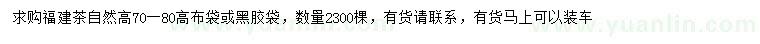 求購高70-80公分福建茶