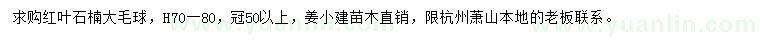 求購高70-80公分紅葉石楠大毛球