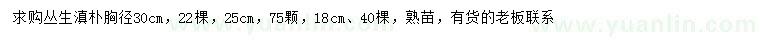 求購(gòu)胸徑18、25、30公分叢生滇樸