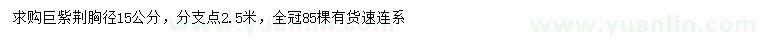 求購胸徑15公分巨紫荊