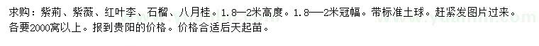 求購紫荊、紫薇、紅葉李等