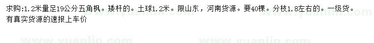求購1.2米量足19公分五角楓