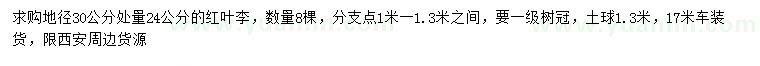 求購地徑30公分處量24公分紅葉李