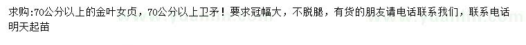 求購(gòu)70公分以的金葉女貞、衛(wèi)矛