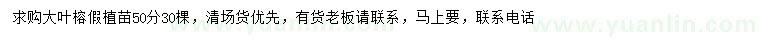 求購50公分大葉榕