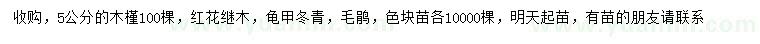 求購木槿、紅花繼木、龜甲冬青等
