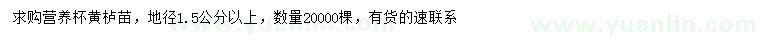求購(gòu)地徑1.5公分以上黃櫨