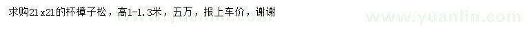 求購(gòu)高1-1.3米樟子松
