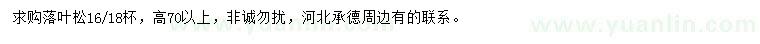 求購高70公分以上落葉松