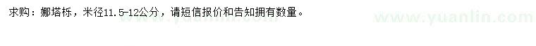 求購米徑11.5-12公分娜塔櫟