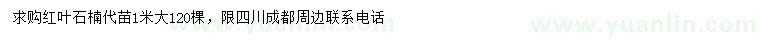 求購1米紅葉石楠
