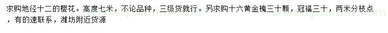 求購地徑12公分櫻花
