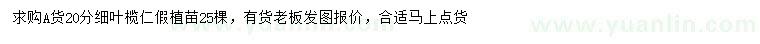 求購(gòu)20公分細(xì)葉欖仁