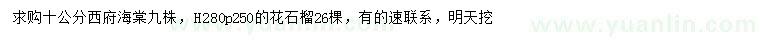 求購10公分西府海棠、高280公分花石榴