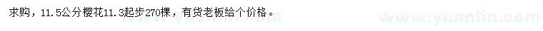 求購(gòu)11.5公分櫻花