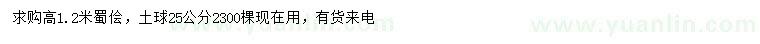 求購(gòu)高1.2米蜀檜
