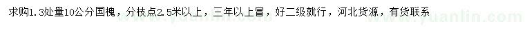 求購1.3處量10公分國槐