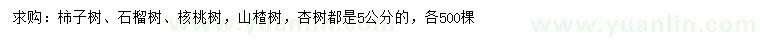 求購柿子樹、石榴樹、核桃樹等