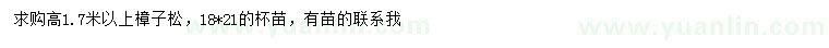 求購高1.7米以上樟子松